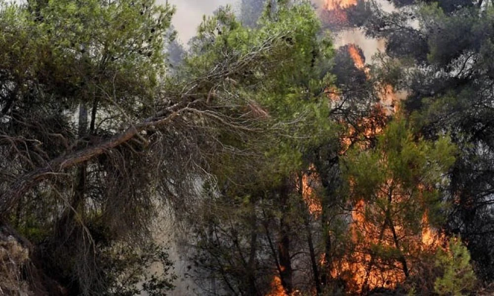 Η συχνότητα και το μέγεθος των ακραίων δασικών πυρκαγιών έχουν διπλασιαστεί τα τελευταία 20 χρόνια